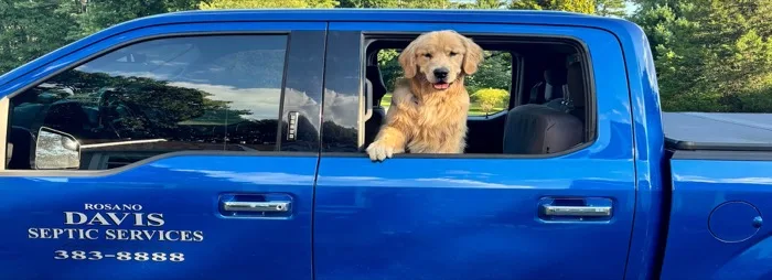 A puppy riding along in a Rosano Davis Septic Services truck
